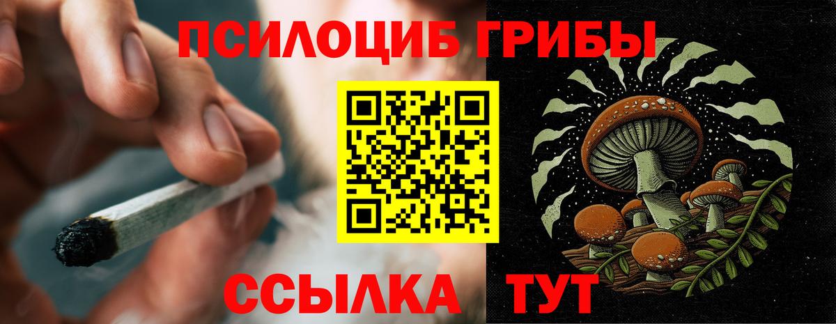 Нижнеудинск  Галлюциногенные грибы мицелий  Галлюциногенные грибы GOLDEN TEACHER  Вход с VPN 